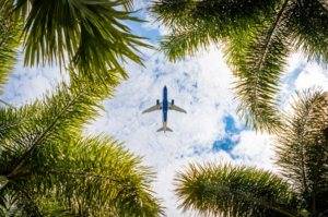 A plane soaring above palm trees, symbolizing smart travel planning and budgeting strategies for a stress-free and financially savvy spring break getaway.